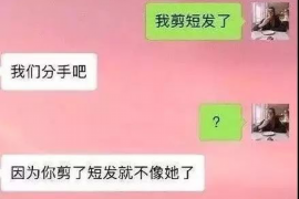 高密融资清欠服务